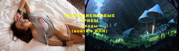 MDMA Арсеньев