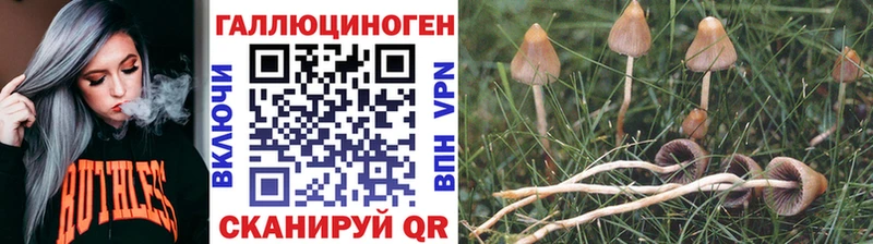 Псилоцибиновые грибы Psilocybine cubensis  hydra вход  Волжский 